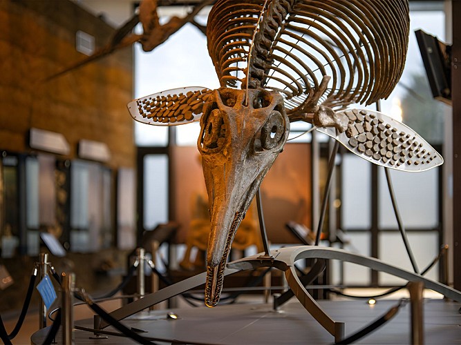 Paléospace-@Julien-Boisard