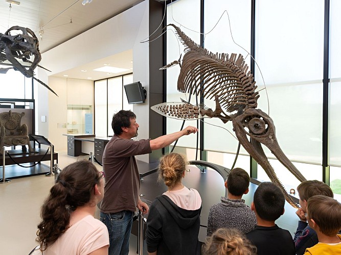 Design sans titre - Paléospace ©Julien Boisard (4)