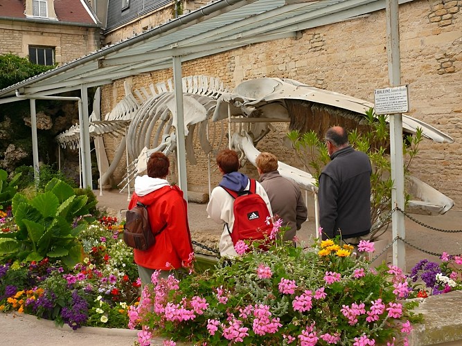LUC SUR MER_Maison de la Baleine