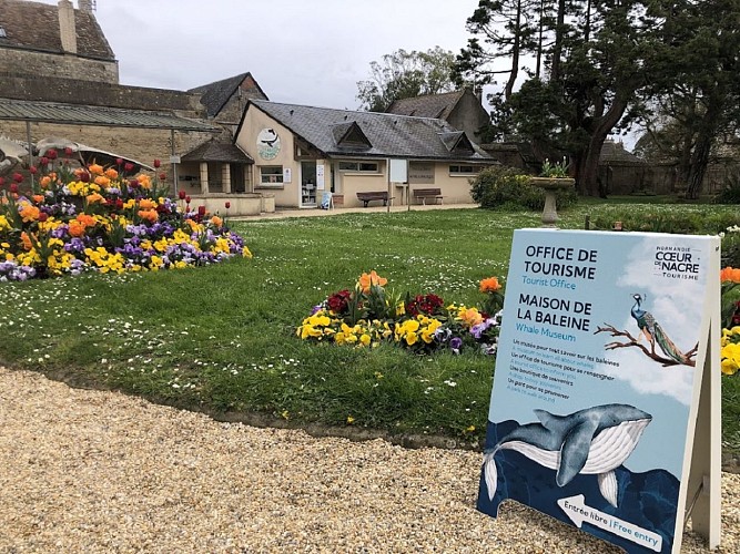 parc-de-la-baleine-office-de-tourisme-luc-sur-mer-credit-mathilde-lelandais (1)
