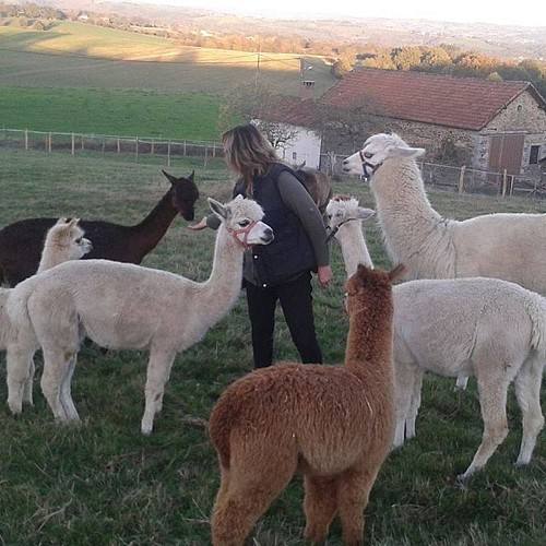 Animal Sanctuary "The Animal Prairie" - Ferme Lamalpapoche