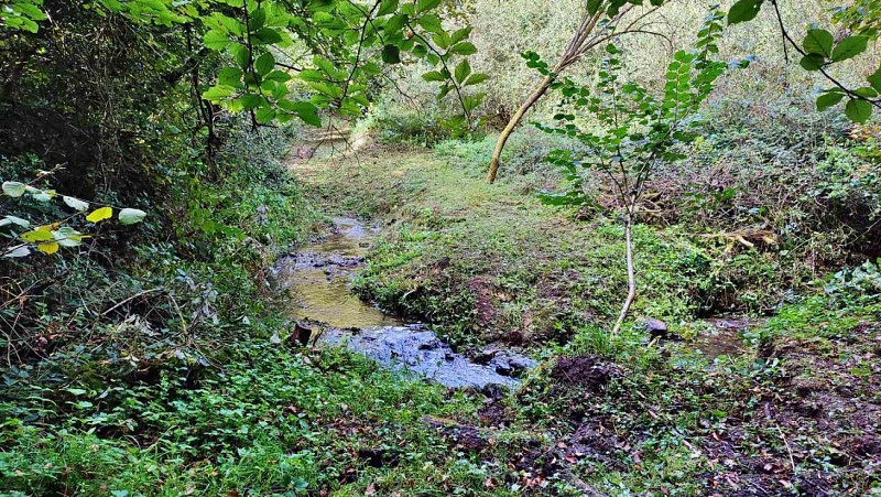 Avant : Un petit ruisseau à enjamber