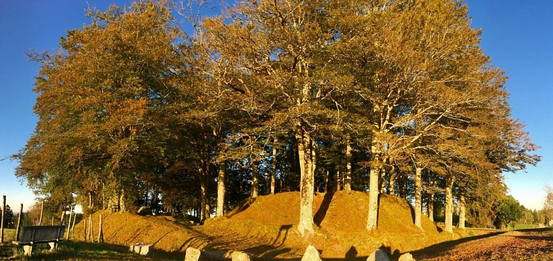 Puy de l’Arbre