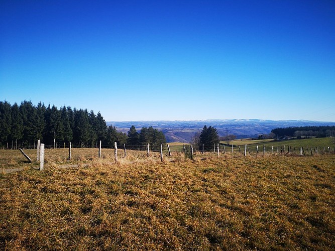 Puy de l’Arbre