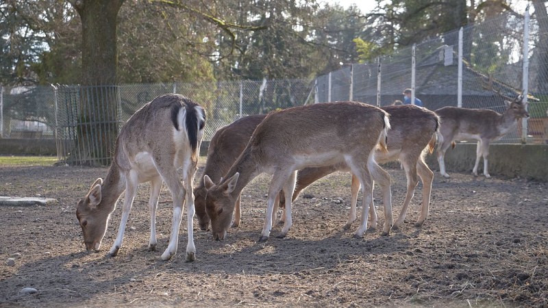 Jardin de ville de Voiron