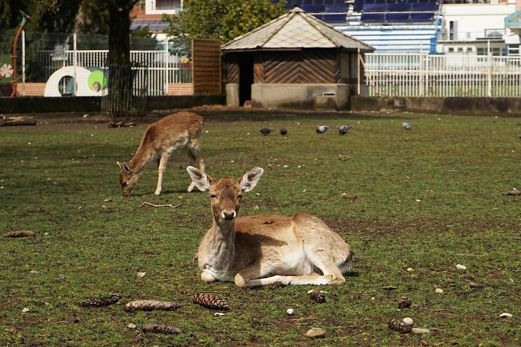 Jardin de ville de Voiron