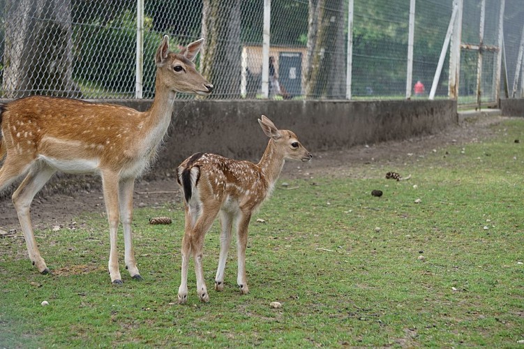 Jardin de ville de Voiron