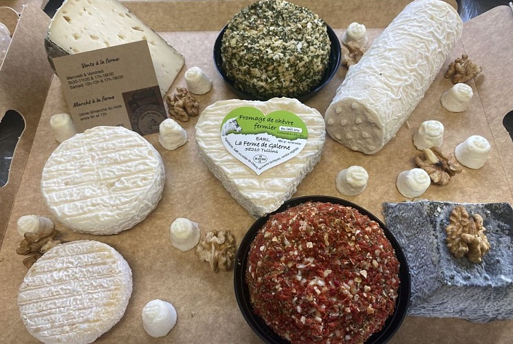 Verkauf von Ziegenkäse und Grenobler Walnüssen bei La Ferme de Galerne