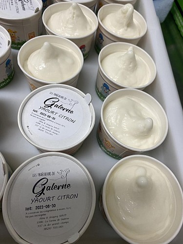 Verkauf von Ziegenkäse und Grenobler Walnüssen bei La Ferme de Galerne