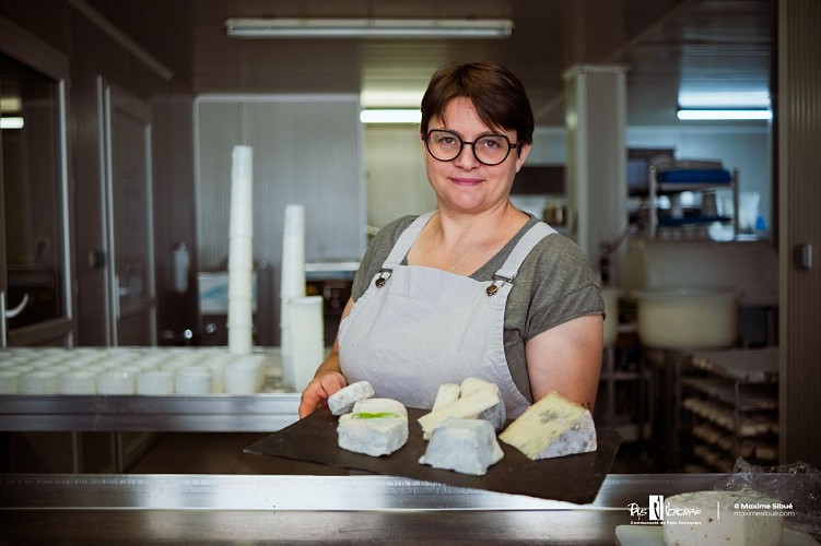 Goat's cheese and walnut sales at Galerne Farm