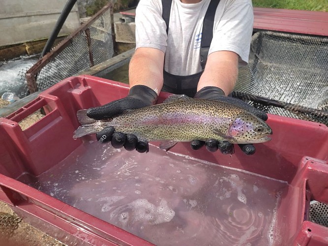 Fischverkauf bei Pisciculture du Moulin