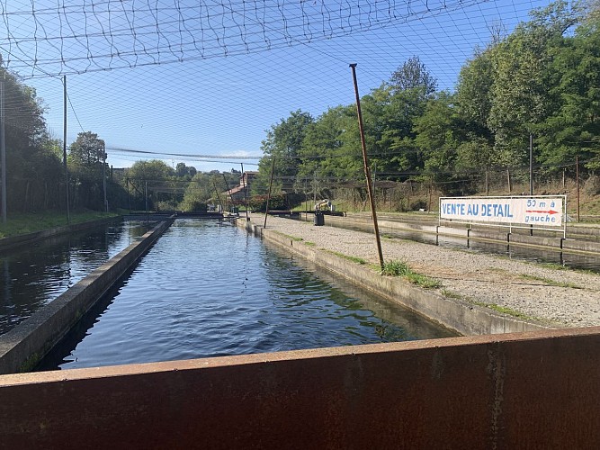 Fish sales at the Moulin fish farm