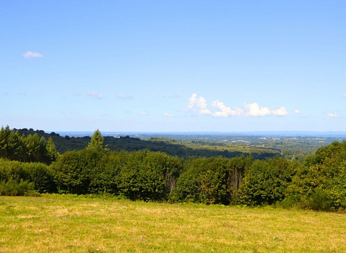 Le Grand Puyconnieux - Point de vue