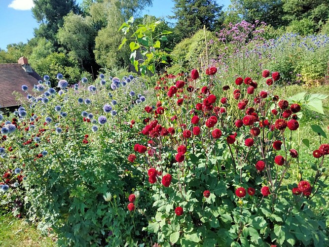 Jardin de Giulio 3 OTI Pays de Saint Yrieix