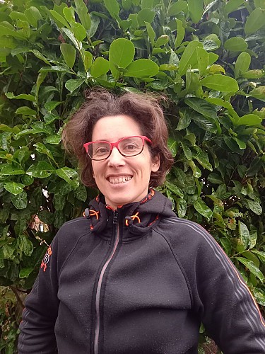 Honey and apiculture product sales at Ô rucher de Julie