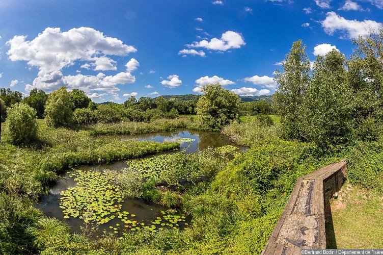 Espace Naturel Sensible de la Boucle des Moïles et de l'étang de Mai