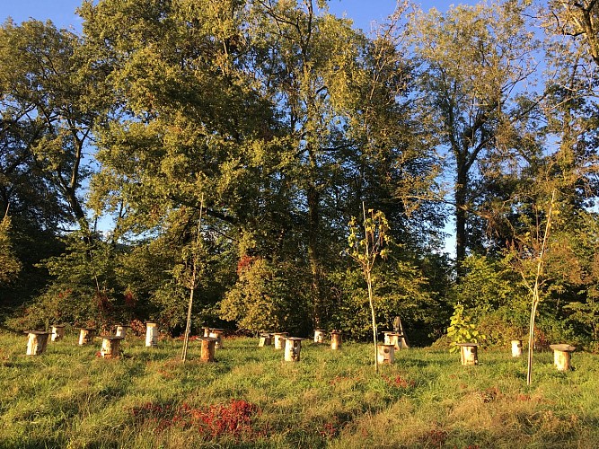 Landgut "Domaine Saint Jean de Chépy"