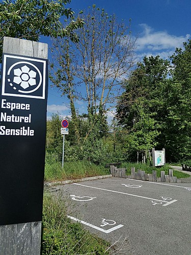 Sumpfgebiet "Marais de la Veronnière" – sensibler Naturraum