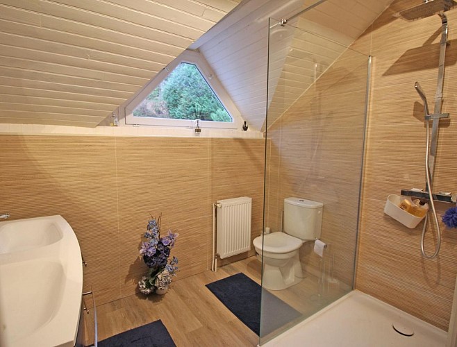 La Villa du Lac, commune de Bujaleuf en Haute-Vienne - salle d'eau avec wc au 2nd étage_9