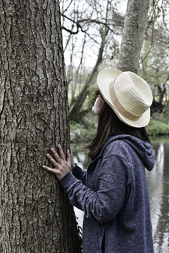 Touriste autour d'un arbre