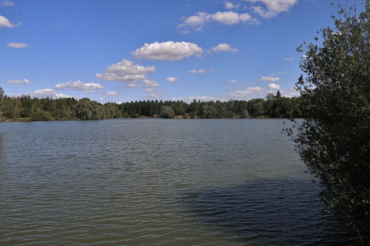 L'étang des vingtaines à Oulins