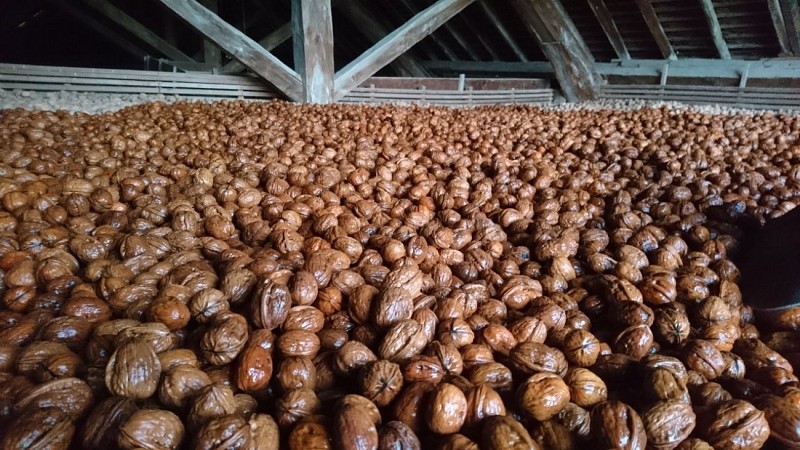 Vente de noix et huile de noix bio à la ferme Guillaume Vial