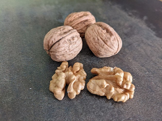 Vente de noix et huile de noix bio à la ferme Guillaume Vial