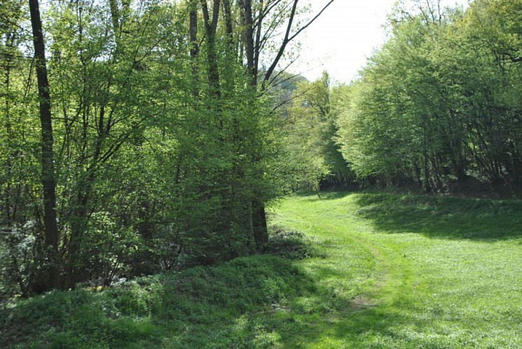 Botanikpfad "Sentier botanique de Rives"