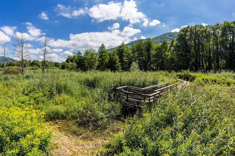 Sentier thématique du Marais de Chirens