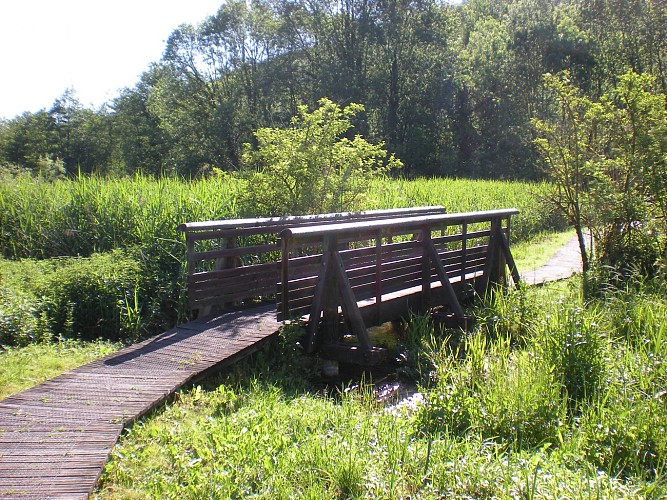 Sentier thématique du Marais de Chirens