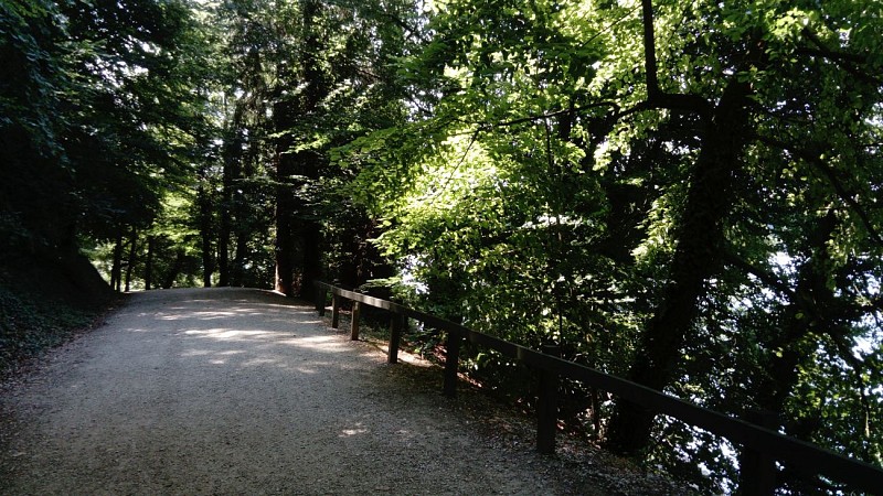 "Le Bois d'Amour" recreation area