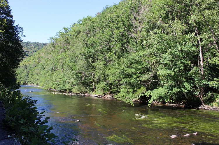 Aire de pique-nique - Châteauneuf-les-Bains