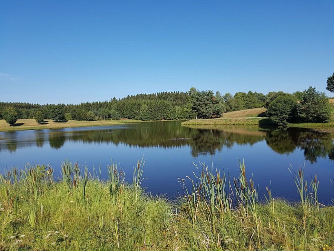 Picknickbereich - Plan d'Eau Béal des Roziers