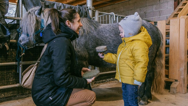 Donkey rides - La Ferme de la Marinette