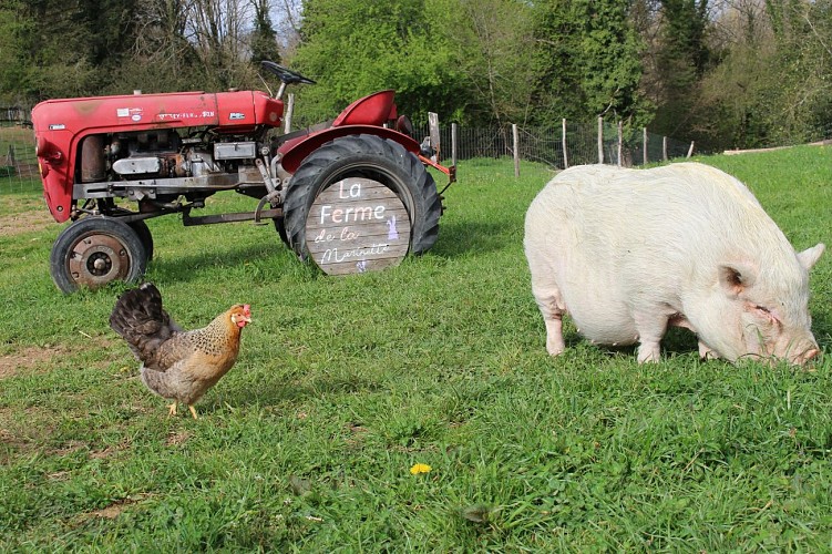 La Ferme de la Marinette - Visite ferme pédagogique
