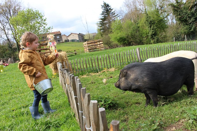 La Ferme de la Marinette - Visite ferme pédagogique
