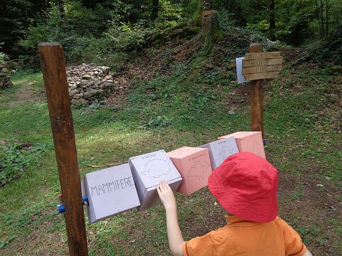 Chartreuse Ludo-Park