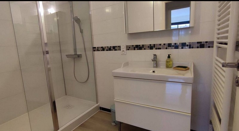 Appartement Gaston Lacoste - Pau - bain