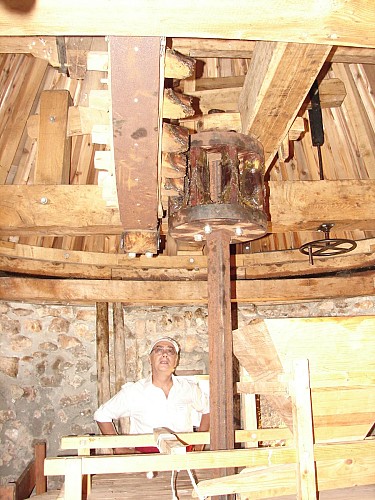 Visite guidée du Moulin et du musée d'outils agraires