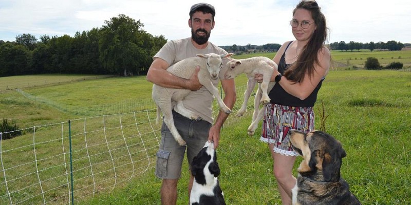 La bergerie de chevalerie