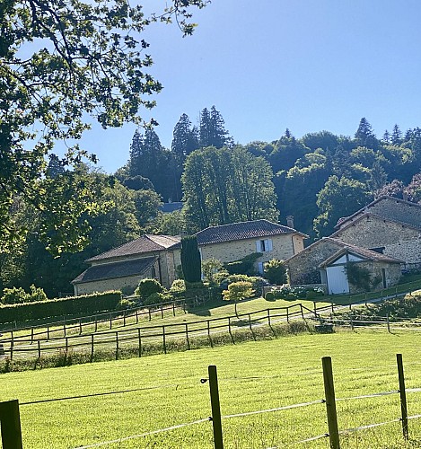Montmeryvue