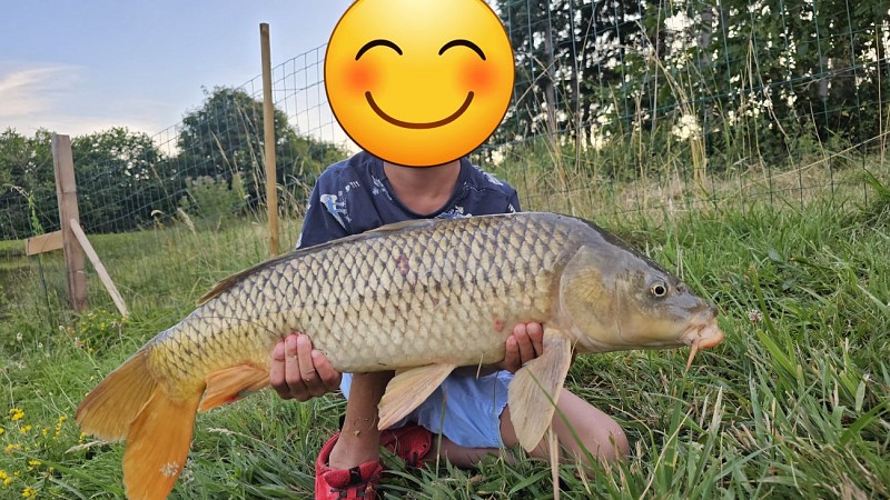 carpe gite l'etang des soays