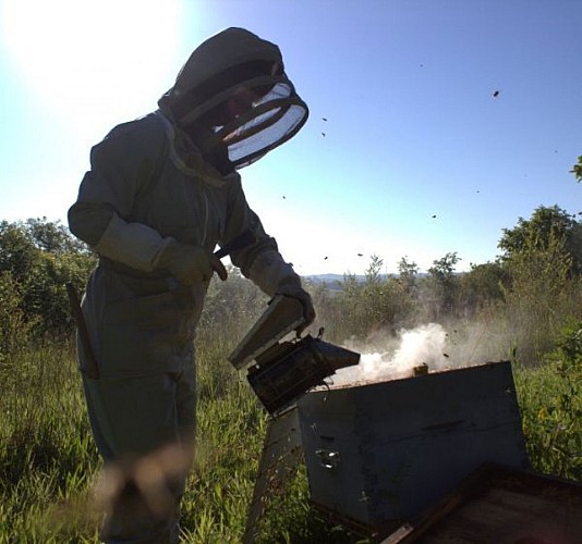 Abeilles-Picherie-Montpon