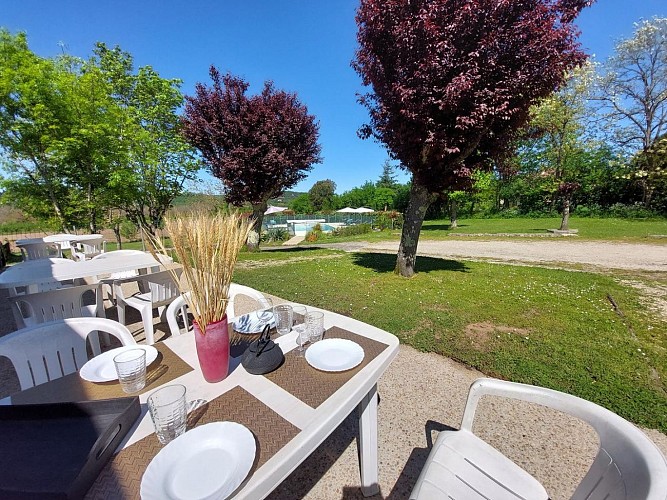 iris crocus piscine proche sarlat (10)