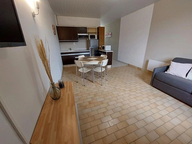 BLEUET proche Sarlat (5)