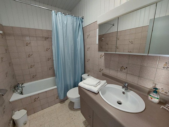 crocus avec piscine proche sarlat (1)