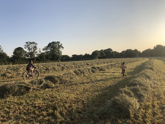 Aux alentours du gîte