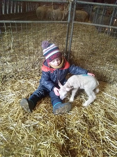 DECOUVERTE DES ANIMAUX DE LA FERME