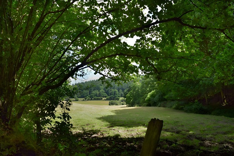 2022-OTPV-Campandre-Valcongrain-05