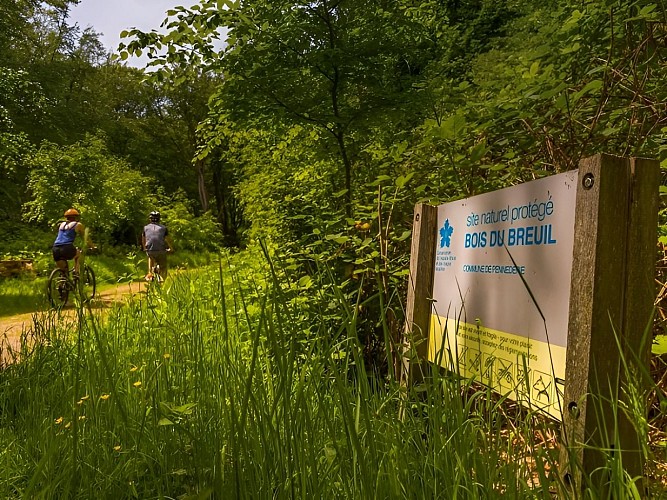 BOIS DU BREUIL WEB -® Vincent Rustuel-7178